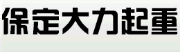 鋼絲繩電動葫蘆專業生產廠家河北大力
